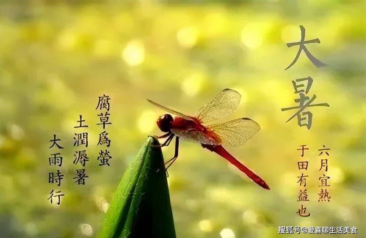7月22大暑！記得「吃3瓜、喝3湯、咬3根」　清熱解毒「健康過三伏」