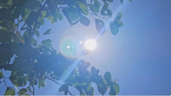 喪門星來了！3生肖被點名「7月22號後注意」　恐意外破財、噩運纏身