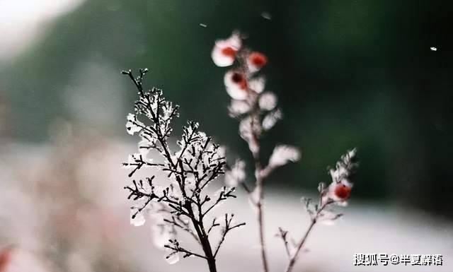 婆婆有兩副面孔！當著老公面「說要煮我愛吃的」　第二天「餐桌菜色看傻眼」：一星期後我樂瘋了