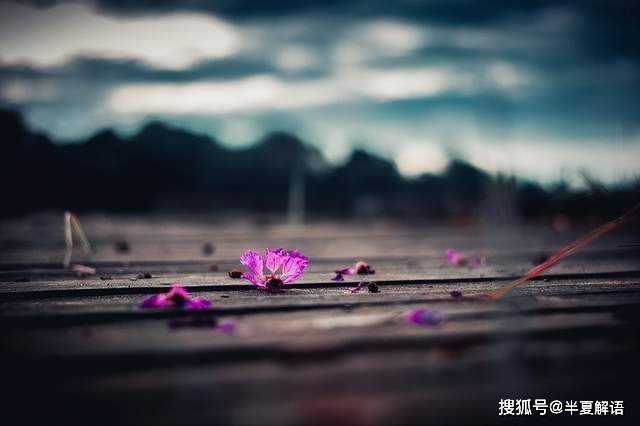 婆婆有兩副面孔！當著老公面「說要煮我愛吃的」　第二天「餐桌菜色看傻眼」：一星期後我樂瘋了
