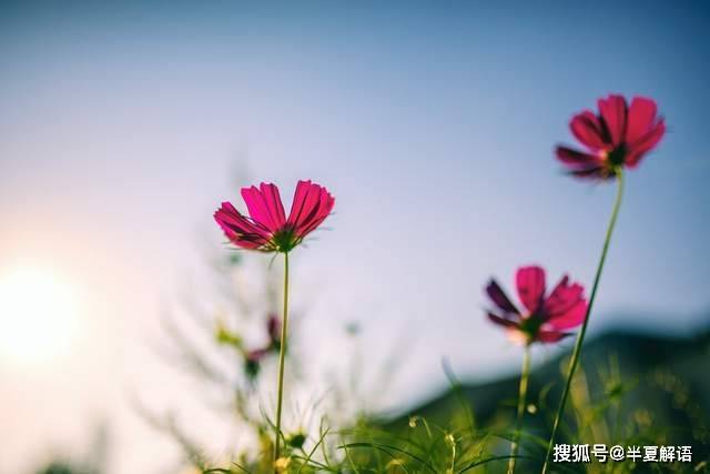 與丈夫徹底AA制10年！知道婆婆生病後「我二話不說掏出20萬」丈夫一看轉頭甩了自己一巴掌...