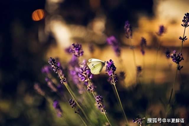 與丈夫徹底AA制10年！知道婆婆生病後「我二話不說掏出20萬」丈夫一看轉頭甩了自己一巴掌...