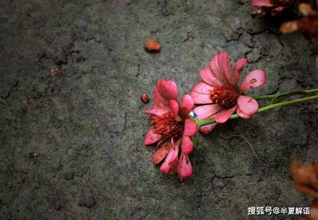 與丈夫徹底AA制10年！知道婆婆生病後「我二話不說掏出20萬」丈夫一看轉頭甩了自己一巴掌...