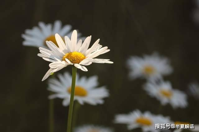 與丈夫徹底AA制10年！知道婆婆生病後「我二話不說掏出20萬」丈夫一看轉頭甩了自己一巴掌...