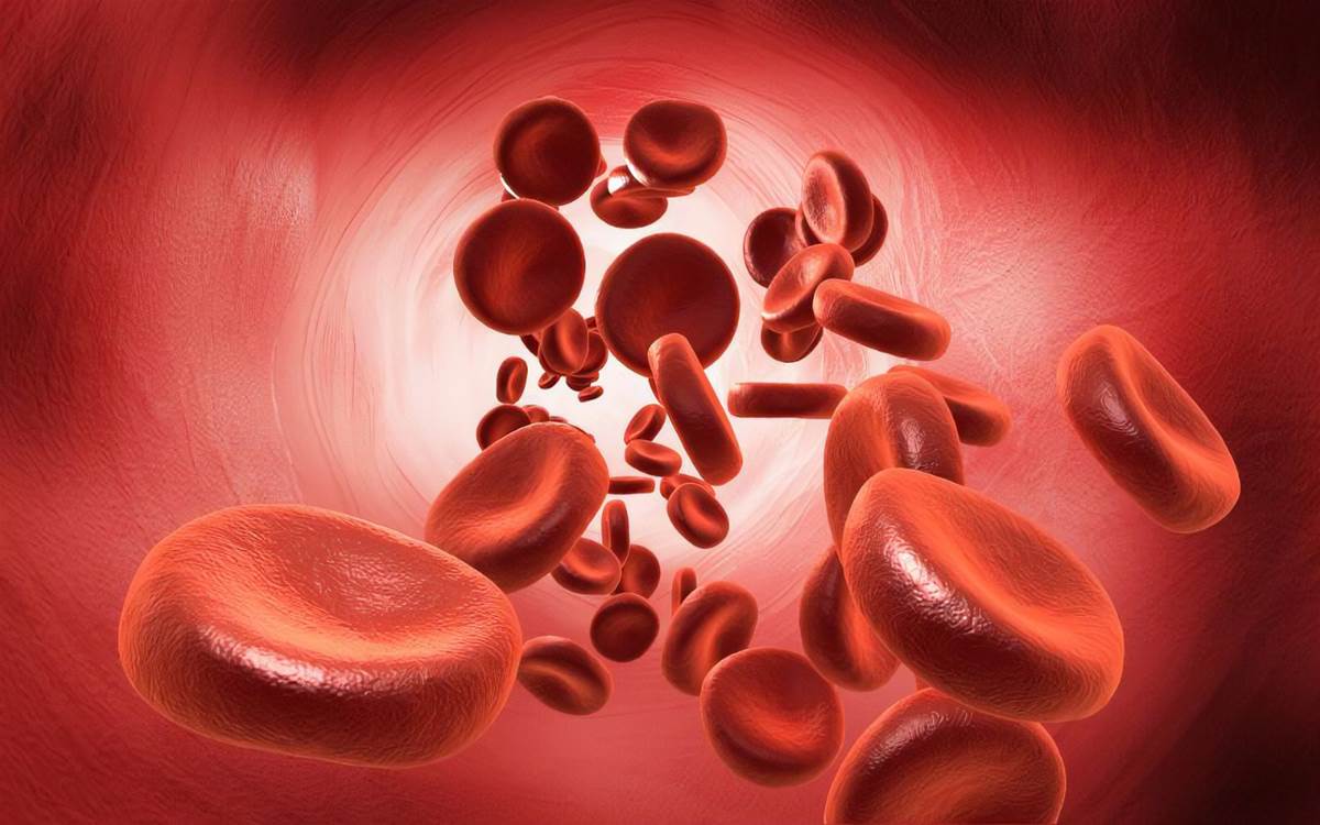 她曬出「手掌瘀青照」納悶問:這顏色正常嗎?網一看「勸快去掛急診」檢查結果讓她腿軟