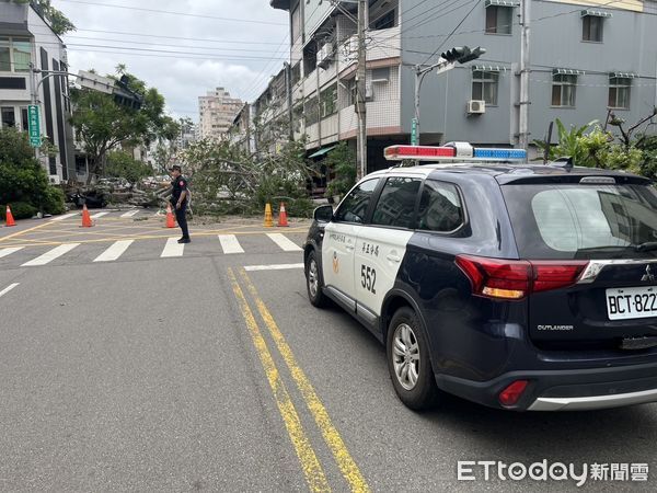 快訊／又是台中！路樹突然倒塌「壓毀3車」現況曝光