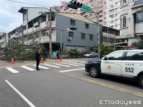 快訊／又是台中！路樹突然倒塌「壓毀3車」現況曝光