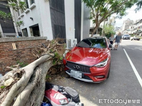 快訊／又是台中！路樹突然倒塌「壓毀3車」現況曝光