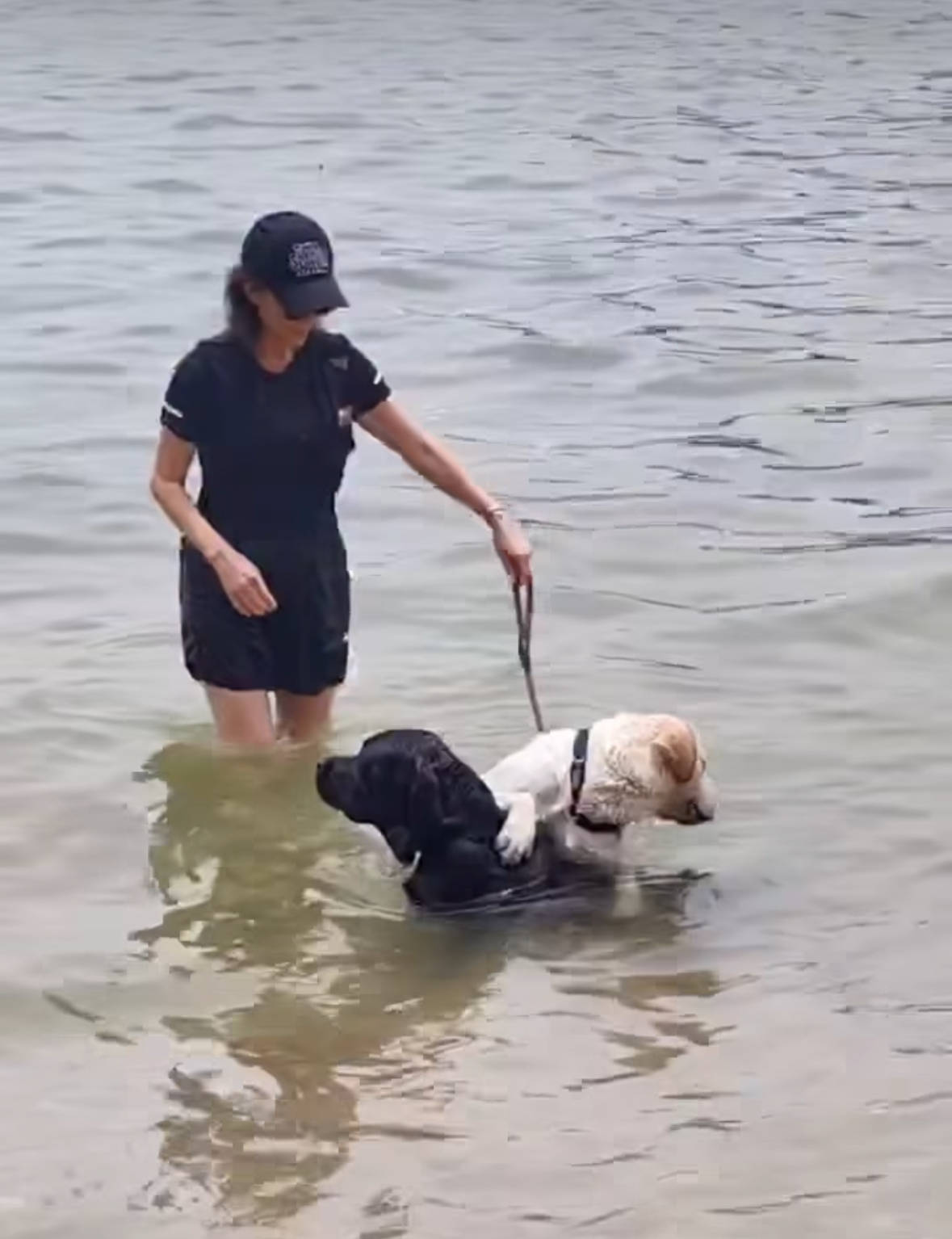 59歲女星嗨幫2愛犬慶生！狗狗竟撞臉「老公憂鬱眼神」：根本一模一樣