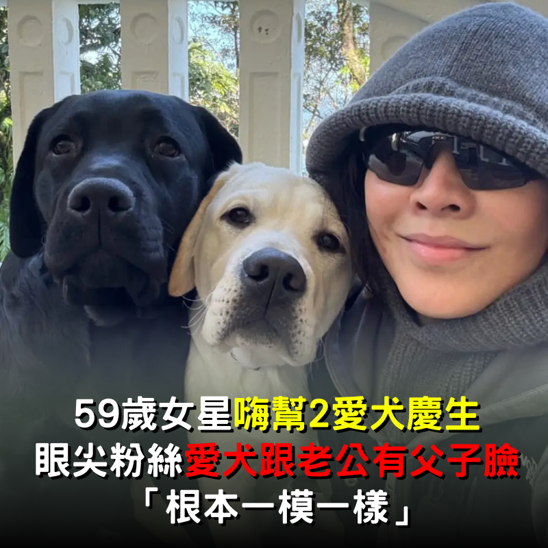 59歲女星嗨幫2愛犬慶生！狗狗竟撞臉「老公憂鬱眼神」：根本一模一樣