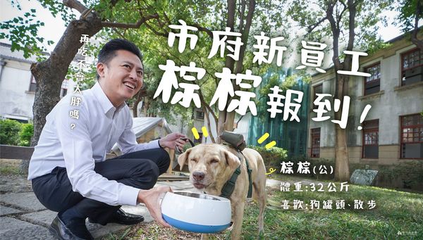 林智堅昔日「市犬棕棕」爆被棄養！高虹安證實「上任前已被送回動保所」原因曝光