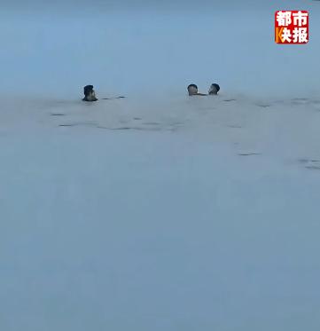 最新／他的遺體找到了！「為救溺水男孩」犧牲　妻痛哭：孩子問爸爸去哪了