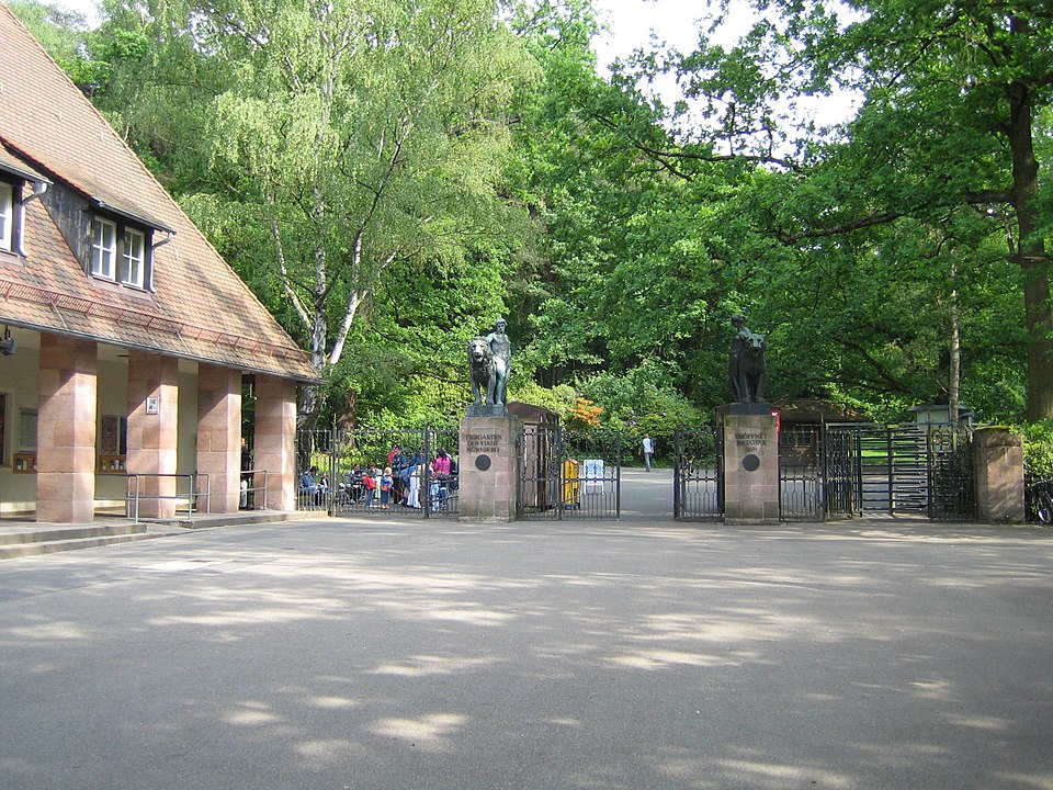 動物園堅持「殺12隻狒狒」！「殘忍原因曝光」遭動保團體強烈抗議