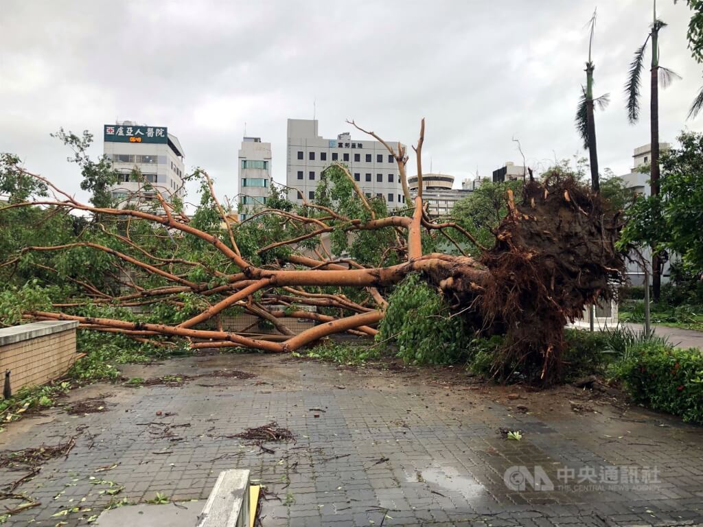 南部豪雨成災！61歲台灣天后霸氣「豪捐1000萬賑災」　哽咽曝：「是我爸媽的故鄉...」