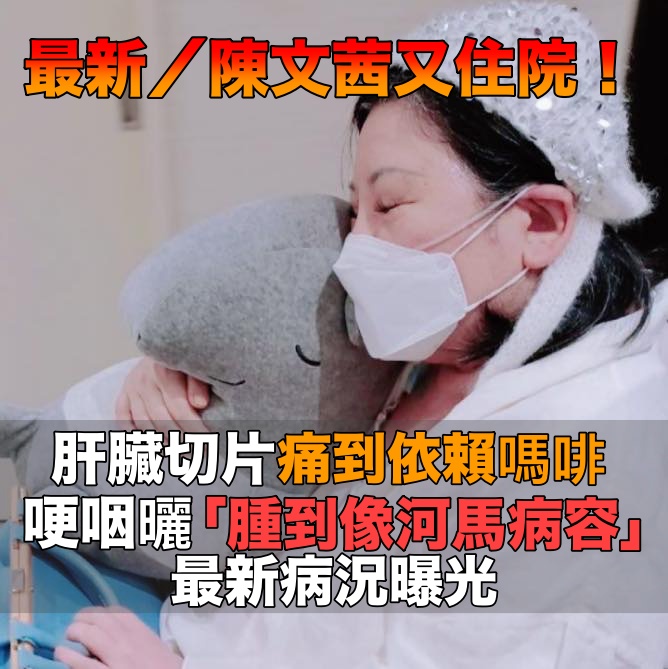 癌擴散又爆併發症！67歲陳文茜「又住院5天」　肝臟切片「痛到靠嗎啡苦撐」病容粉絲看哭