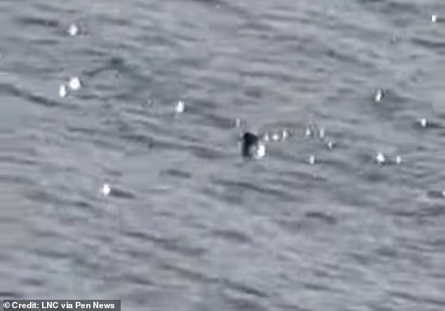 真的有尼斯湖水怪！？多名遊客目擊「巨大生物逆流浮出水面」　「清晰畫面」震撼全球：不是漂流木