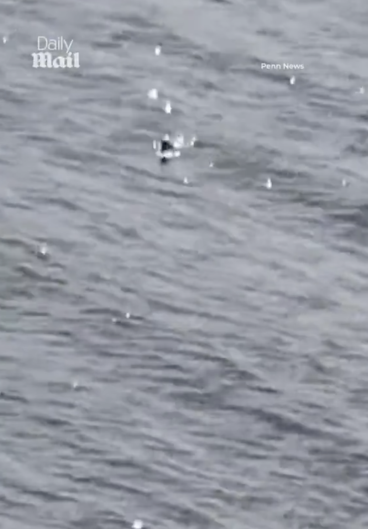 真的有尼斯湖水怪！？多名遊客目擊「巨大生物逆流浮出水面」　「清晰畫面」震撼全球：不是漂流木