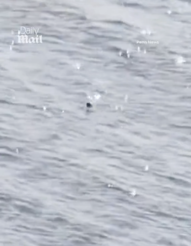 真的有尼斯湖水怪！？多名遊客目擊「巨大生物逆流浮出水面」　「清晰畫面」震撼全球：不是漂流木