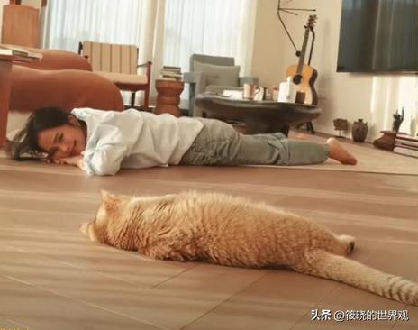 為愛遠嫁外國！62歲歌后「遭大25歲前夫家暴」黯然離婚　重返歌壇「又遇脊椎斷裂」一度命危...