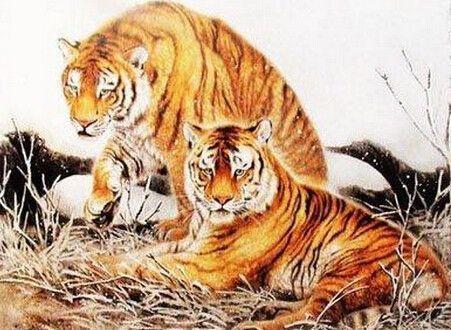 情商輾壓眾人!3生肖男「處事圓融大氣」又不失智慧 嫁給他們真是賺到了