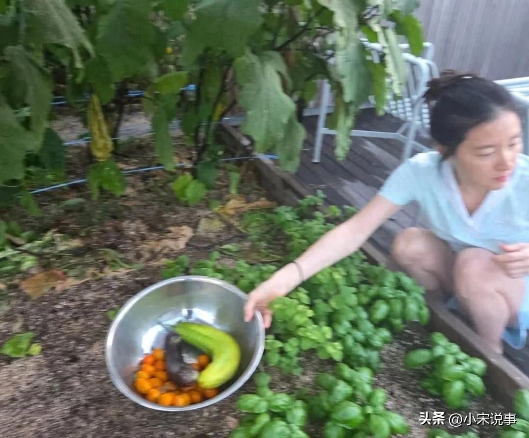 女神變農婦！54歲巨星「嫁大20歲企業家淡出」　隱居鄉下「素顏種地挖菜」畫面曝光：最美農婦❤️