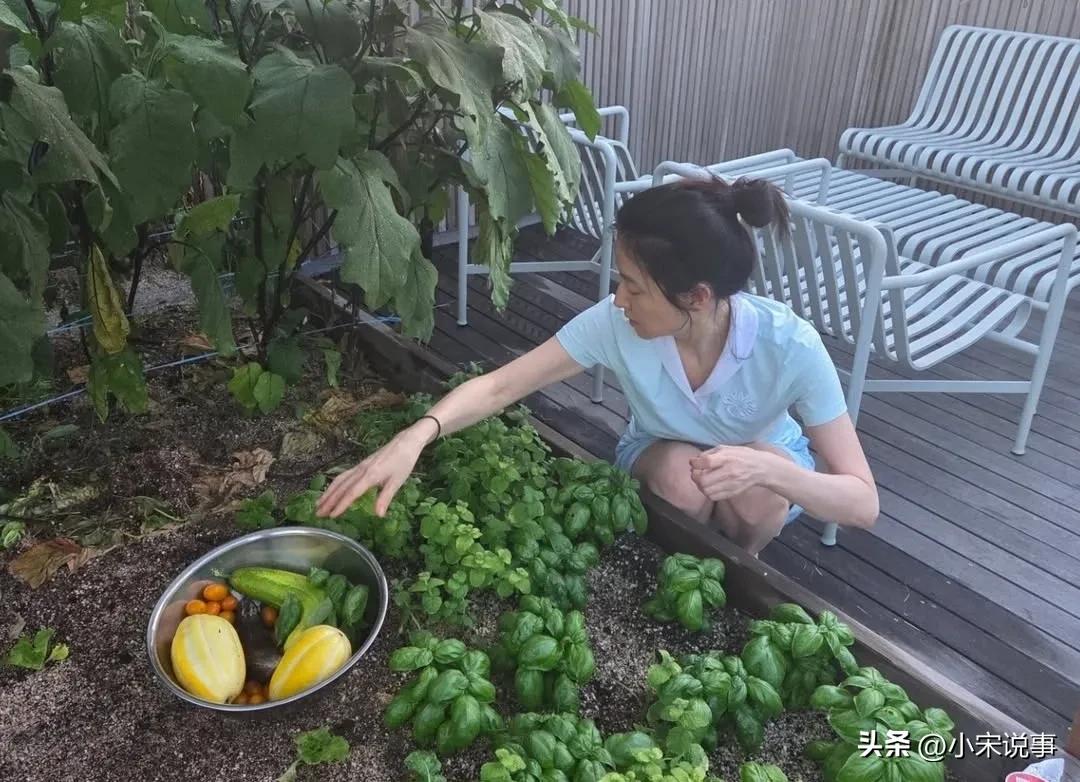 女神變農婦！54歲巨星「嫁大20歲企業家淡出」　隱居鄉下「素顏種地挖菜」畫面曝光：最美農婦❤️