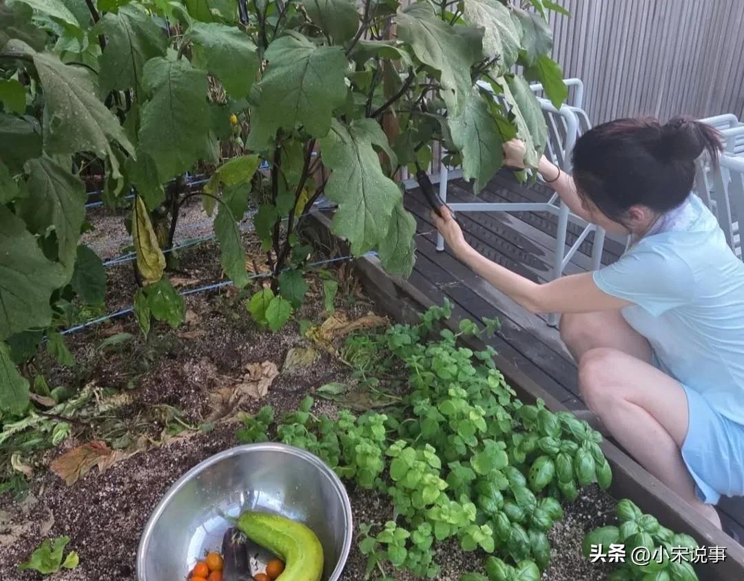 女神變農婦！54歲巨星「嫁大20歲企業家淡出」　隱居鄉下「素顏種地挖菜」畫面曝光：最美農婦❤️