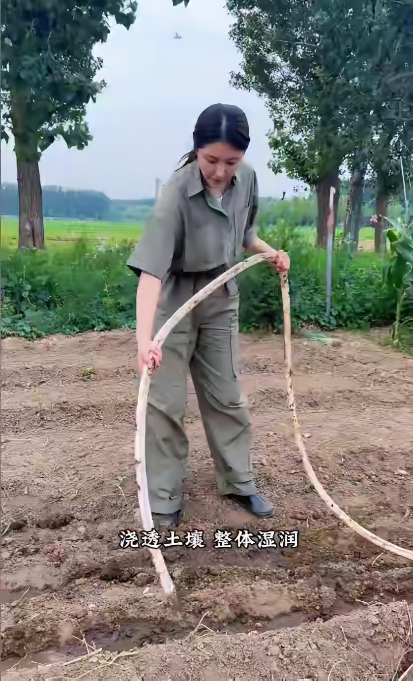 48歲依舊不婚不生！大咖女星「決定回鄉下辛苦務農」　巨星光環不再「拿斧頭狼狽幹活」引議論
