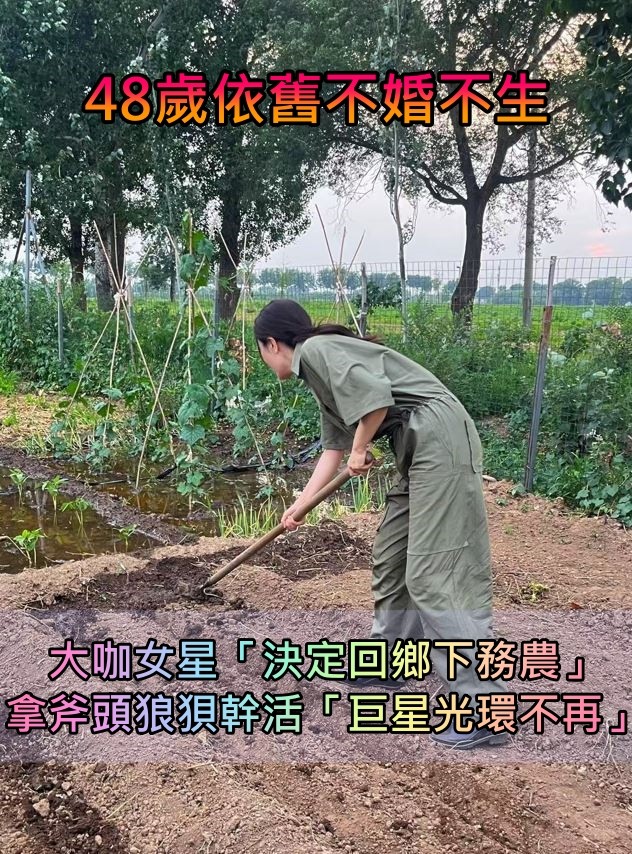 48歲依舊不婚不生！大咖女星「決定回鄉下辛苦務農」　巨星光環不再「拿斧頭狼狽幹活」引議論