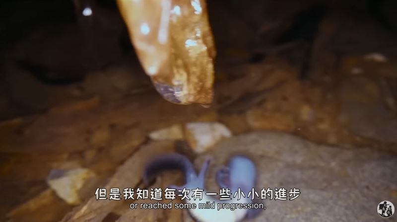 山椒魚爸「戴甜甜圈頭套」Q爆！原因曝光竟是「藏著最深的父愛」