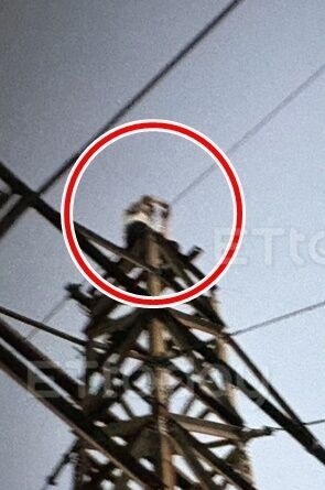 才考上大學！20歲男「爬大同山電塔」觸電慘成焦屍　女友痛哭「曝光最後身影照」