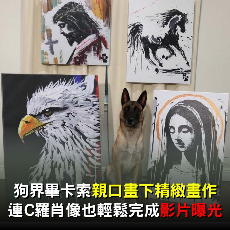 狗界畢卡索「畫出C羅肖像」價值高達9萬！「親口畫下」影片曝光太驚人