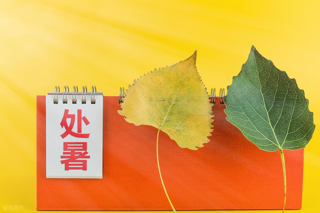 今年鬼門開不一般！2025年鬼門開「碰上處暑」　陰陽兩界「界限模糊」5大禁忌別誤觸　