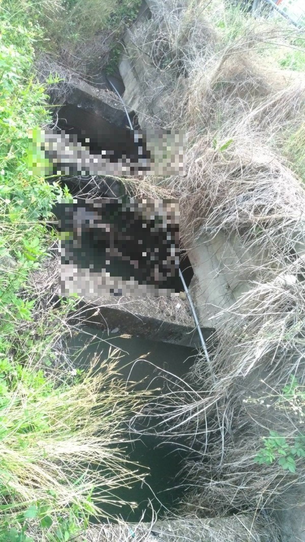 鬼門剛開！嘉南大圳「驚見女浮屍」　在地人嚇傻「7天前才死一個」