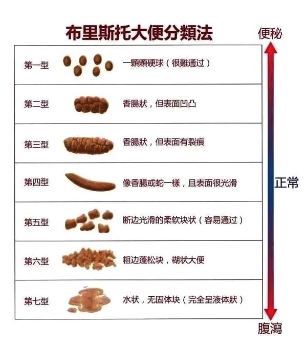 壽命與排便次數有關？研究證實便秘者「心血管疾病暴增38%」　每天「最佳排便次數」出爐：太多也不行