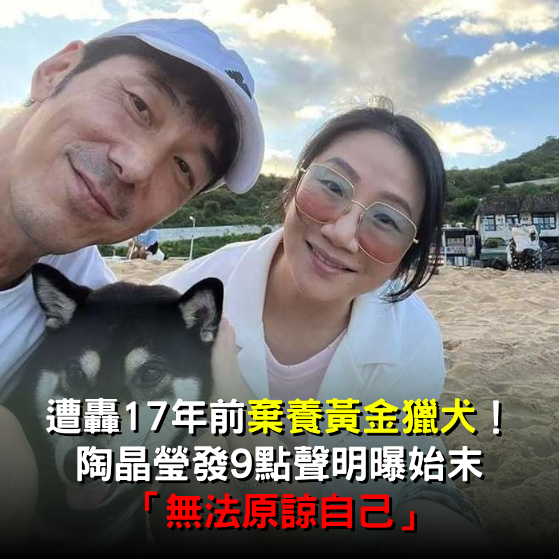 遭轟17年前棄養黃金獵犬！ 陶晶瑩發「9點聲明」曝始末：無法原諒自己