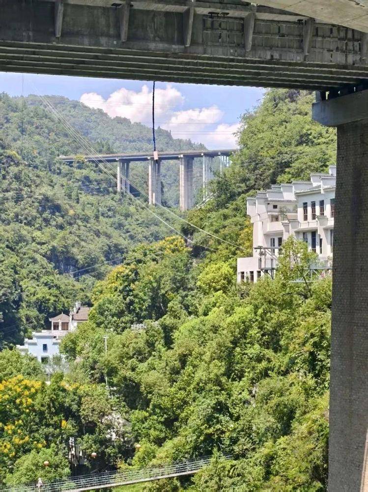 風景區玩高空彈跳繩子斷裂！ 當場撞平台「墜入水中血跡斑斑」後續曝光