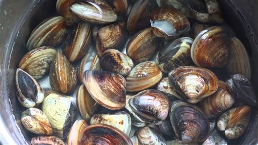 「1海鮮」傷腦又害心梗！醫警告「比塑化劑還毒」：恐加速老化