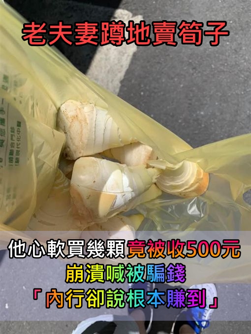 老夫妻蹲地賣筍子!他心軟買了幾顆「竟然喊價500元」 不甘被騙「把筍子拍照公審」網一看愣了:這賺到了