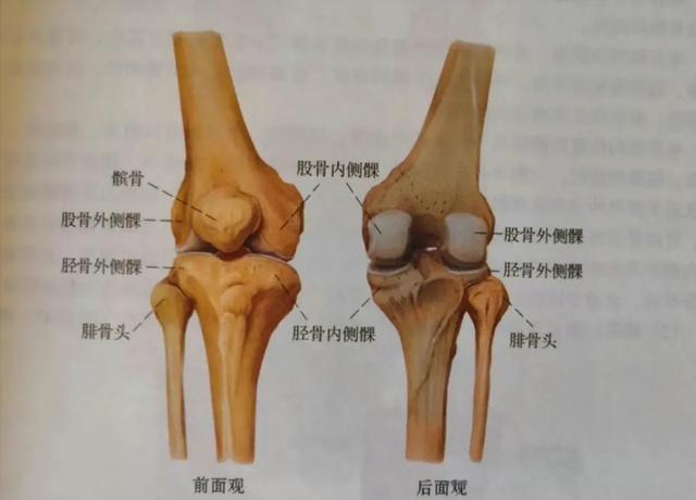 別以為只是累了！走路時膝蓋「突然軟一下」是6大疾病訊號...「有一狀況」馬上就醫