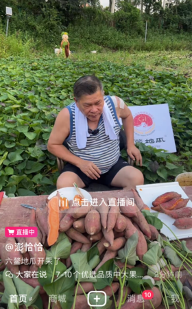 從白天賣到天黑！69歲澎恰恰「親自下田叫賣地瓜」一亮點網鼻酸　才喊債已還一半「又冒出地下錢莊」