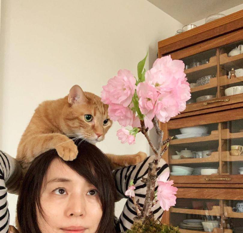 演藝圈超強姐妹花！其中一人29歲結婚「另一人55歲仍單身」　如今「兩人命運大不相同」　