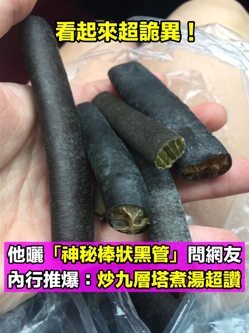 肯定有吃過！他曬出「神秘棒狀黑管」到底是什麼　內行人一看激推「炒九層塔跟煮湯超讚」：脆脆的