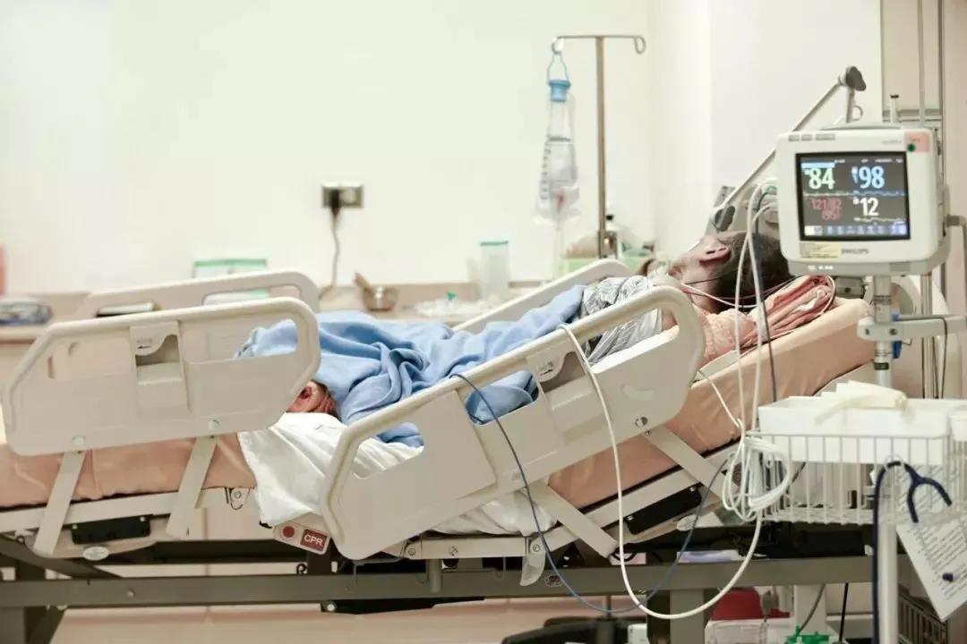 癌末無法治了！接病重父回家「沒多久過世」　家中老貓「1小時後離奇舉動」網哭暈：牠怕爸爸一個人寂寞