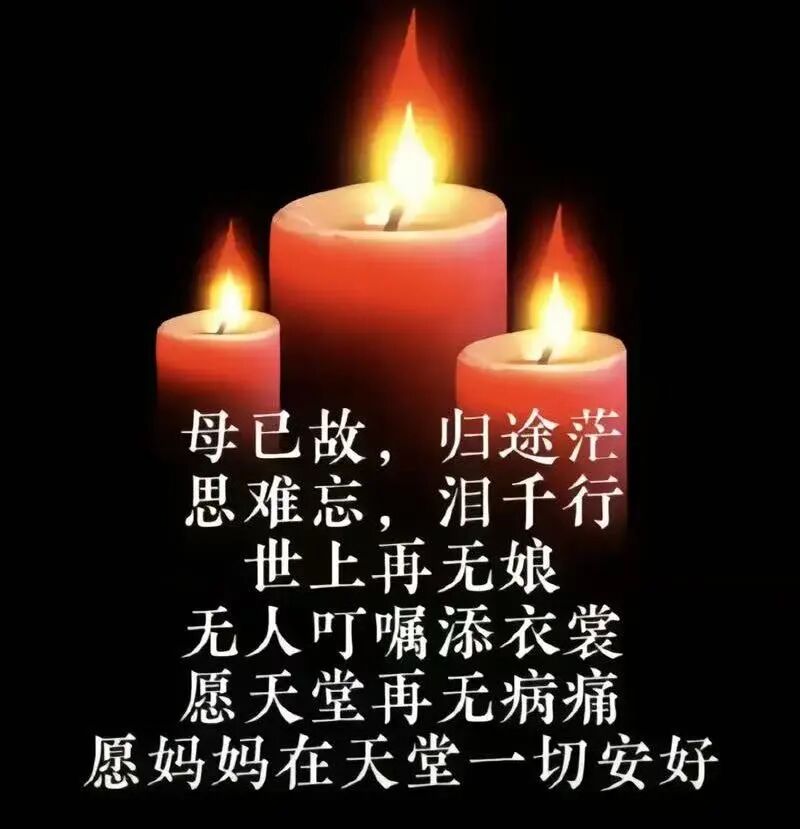 離婚也沒用！她遭前夫「痛毆5小時身亡」女兒悲慟認屍　離婚前「最後照片惹淚」：不會再痛了...