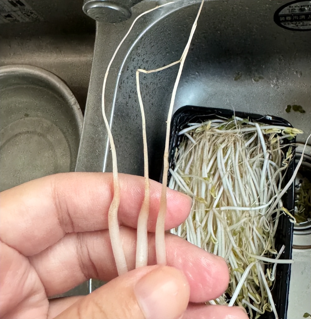 菜市場買菜注意！這4種蔬菜「大多都泡過藥水」老闆自己都不吃