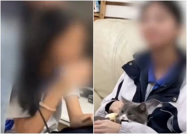 14歲男學生「狂刺女同學20刀」！他無悔意喊：我是見義勇為　聽到「要判死刑」才跪地求饒