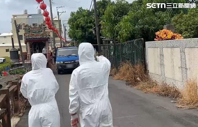 防守7年破功！台中爆非洲豬瘟「195隻緊急撲殺」　遭爆「22隻豬早就賣出」流向曝光