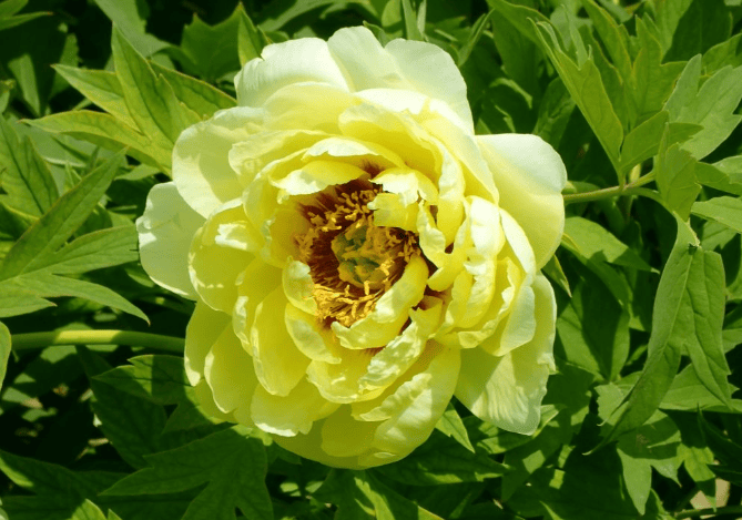 年底準備大豐收!「冬季運勢爆棚」星座Top4:付出開始得到回報