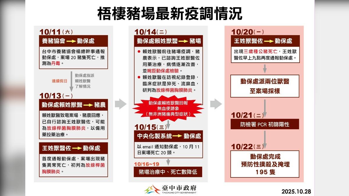 最新!台中非洲豬瘟「擴散完整時間表」曝光 疑「3度誤判」錯失良機